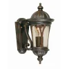Außen Wandleuchte LIZ Schmiedeeisen IP44 Rustikal
