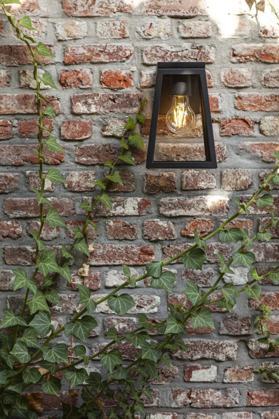 Außenwandlampe Aluminium Glas E27 IP44 H:20,7 cm