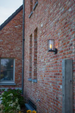 Außenwandleuchte Anthrazit IP44 Aluguss Glas ELLAYINA