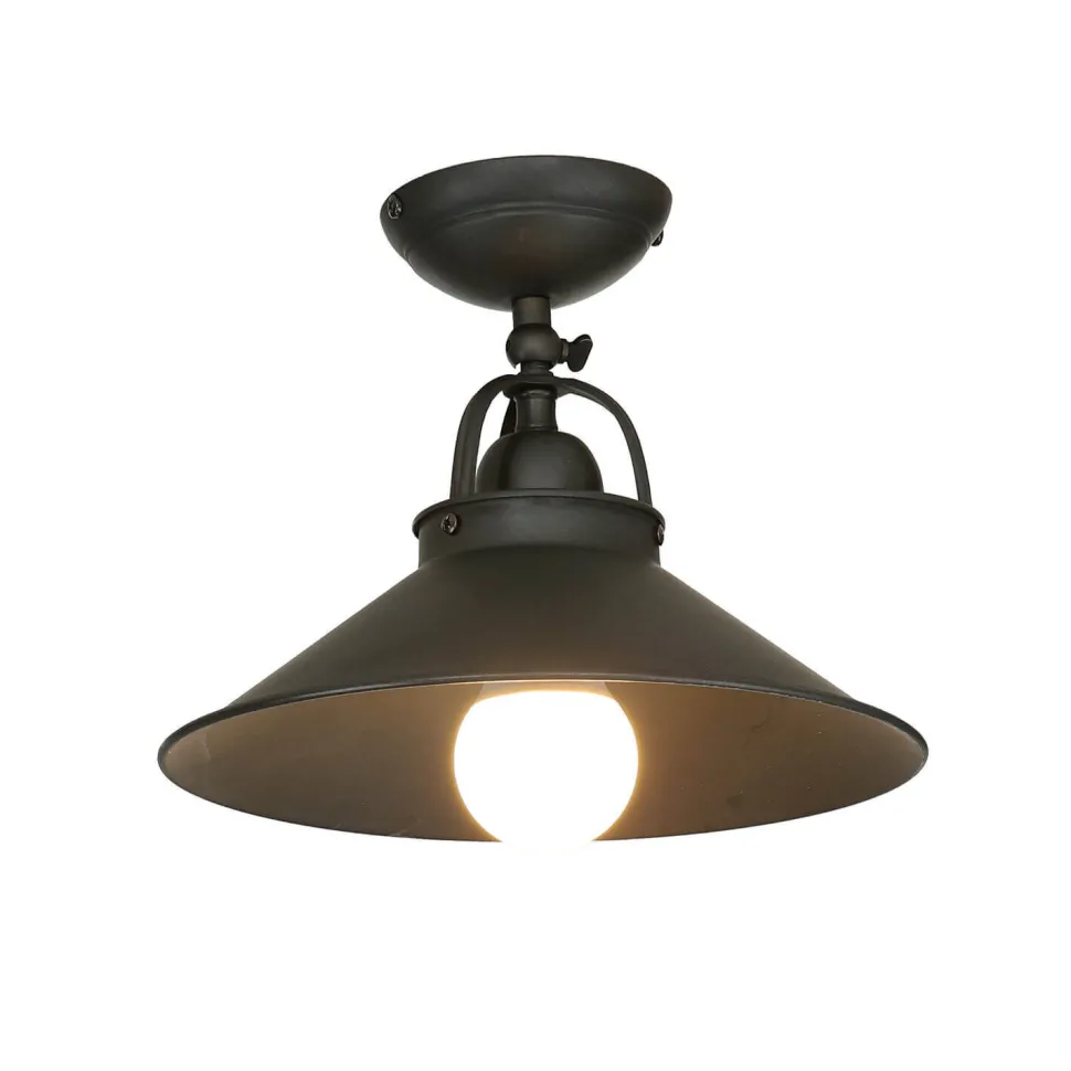 Deckenleuchte Messing schwenkbar E27 Ø 25 cm