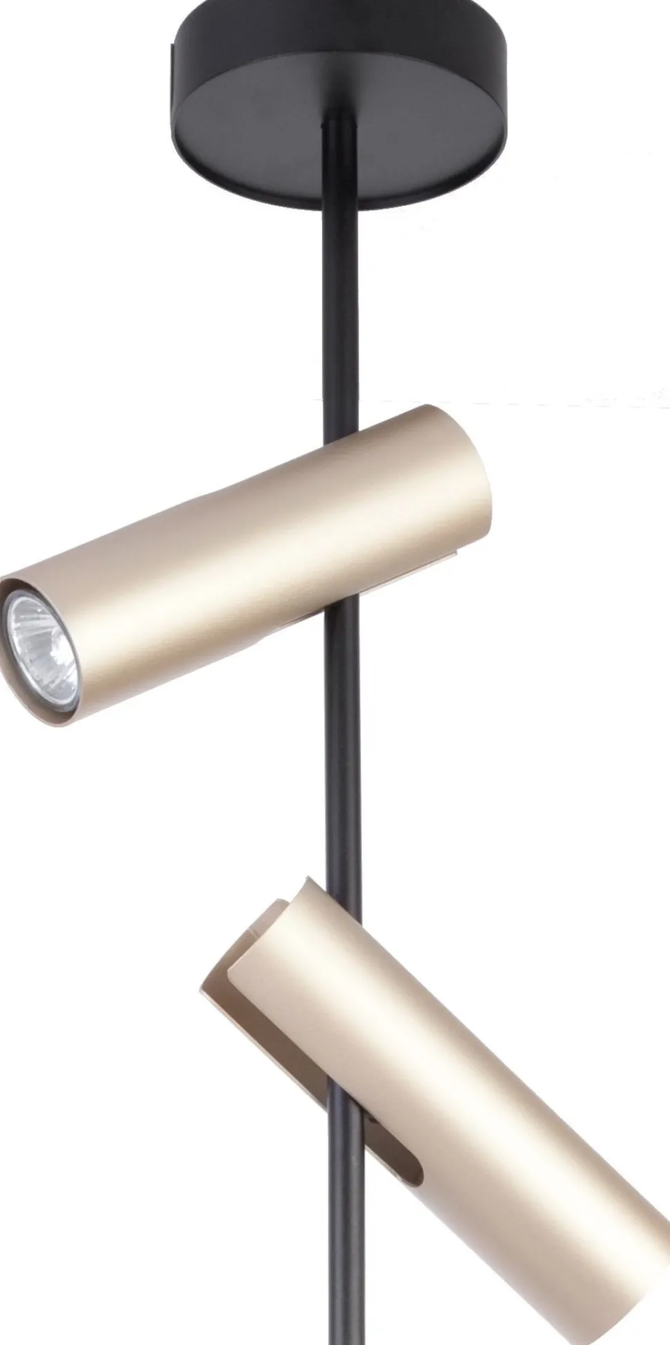 Deckenspot flexibel Metall Schwarz Gold GU10 2-flammig