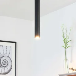 Deckenspot Modern in Schwarz für den Esstisch