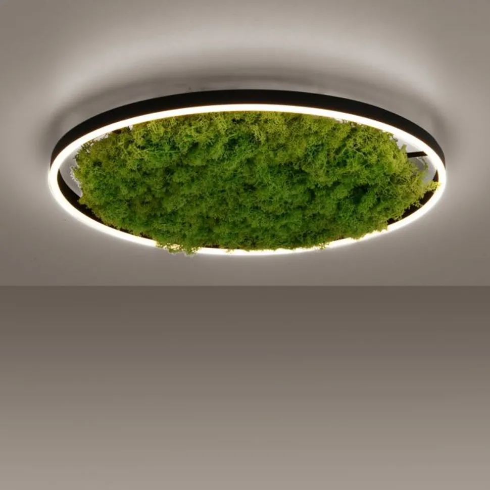 Dimmbare LED Deckenlampe Moos Schwarz 3000 K 28 W