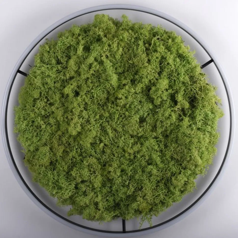 Dimmbare LED Deckenlampe Moos Schwarz 3000 K 28 W