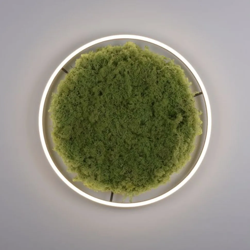 Dimmbare LED Deckenlampe Moos Schwarz 3000 K 28 W