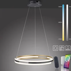 Dimmbare LED Pendelleuchte Metall Schwarz Ø60 cm Ring