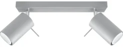 Grauer Deckenstrahler ETNA L:30cm 2x GU10