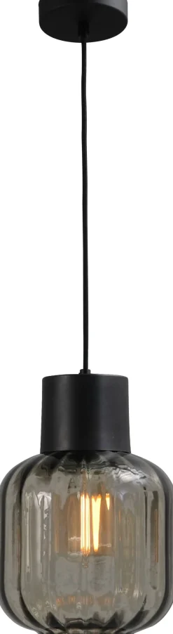 Hängelampe Schwarz Glas Metall E27 verstellbar ELYA