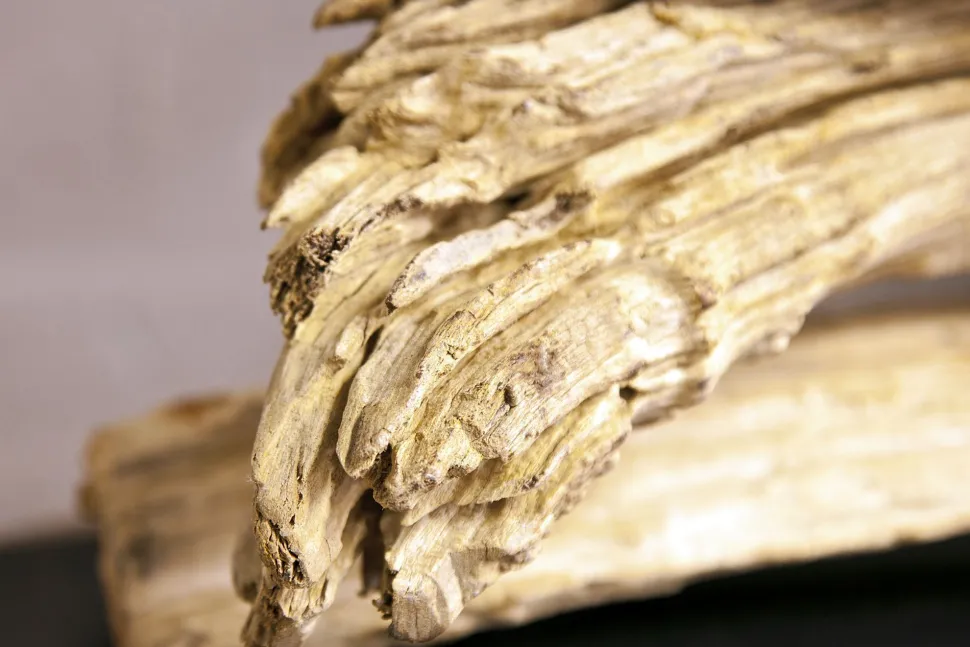 Individuelle Tischlampe 50cmx80cm Treibholz