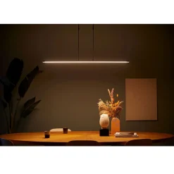 Lange LED Deckenlampe dimmbar Schwarz 122 cm 4000 K