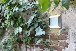 LED Außenleuchte Edelstahl IP54 H:12,4 cm 7 W Up Down