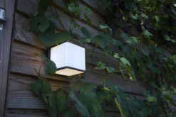 LED Außenwandlampe Anthrazit Aluminium IP54 4000 K 19 W