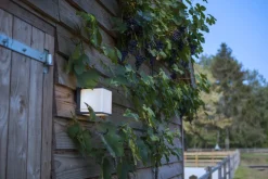 LED Außenwandlampe Anthrazit Aluminium IP54 4000 K 19 W