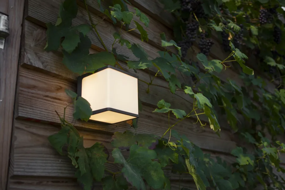 LED Außenwandlampe Anthrazit Aluminium IP54 3000 K 19 W