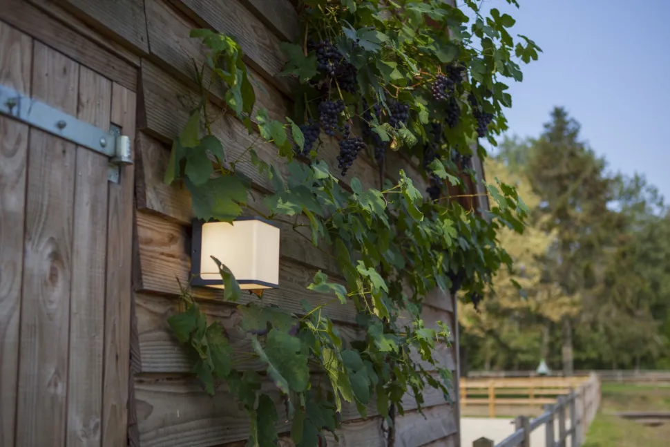 LED Außenwandlampe Anthrazit Aluminium IP54 3000 K 19 W