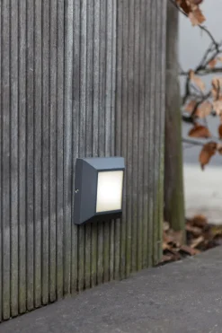 LED Außenwandleuchte Aluminium IP54 4000 K Anthrazit