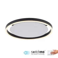 LED Deckenlampe Anthrazit Metall Ø39,3 cm 20 W dimmbar