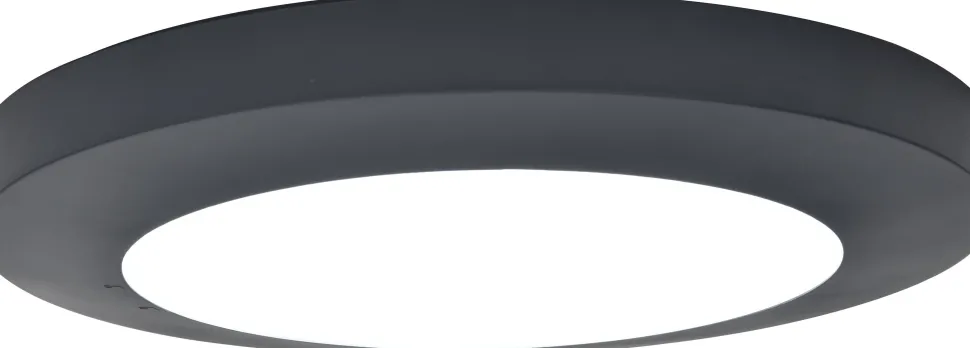 LED Deckenlampe außen Anthrazit Aluminium IP54 Ø30,5 cm