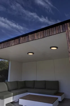 LED Deckenlampe außen Anthrazit Aluminium IP54 Ø30,5 cm