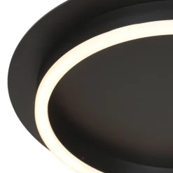 LED Deckenlampe Metall Kunststoff Schwarz 20 W 2700 K