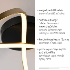 LED Deckenleuchte Metall Schwarz Messing 3000 K dimmbar