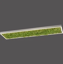 LED Deckenleuchte Moos L:100 cm 3000 K 3550 lm aus Moos