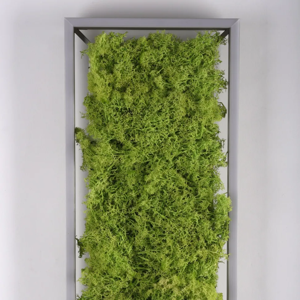 LED Deckenleuchte Moos L:100 cm 3000 K 3550 lm aus Moos