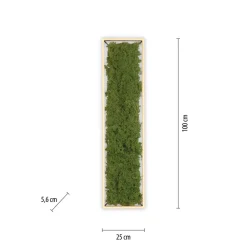 LED Deckenleuchte Moos L:100 cm 3000 K 3550 lm aus Moos