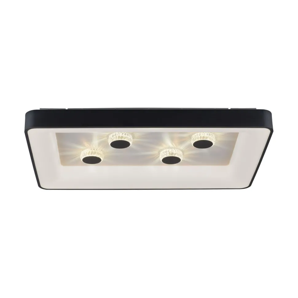 LED Deckenleuchte Schwarz 2700-5000 K 6295 lm dimmbar