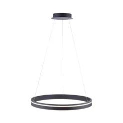LED Hängelampe Ring Ø59 cm 38 W dimmbar Fernbedienung