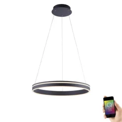 LED Hängelampe Ring Ø59 cm 38 W dimmbar Fernbedienung