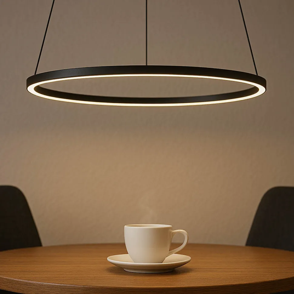 LED Hängeleuchte Metall Ring Ø 45 cm Schwarz 4000 K 600 lm