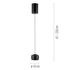 LED Hängeleuchte Metall warmweiß 3000 K 800 lm Schwarz