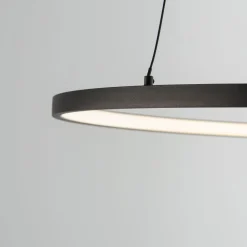 LED Hängeleuchte Ring Ø 60 cm Schwarz 2700 K 660 lm Metall