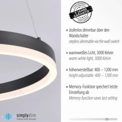 LED Pendelleuchte Anthrazit warmweiß 3000 K Ø40 cm Ring