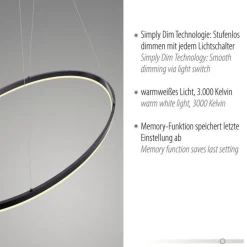 LED Pendelleuchte Anthrazit oval 3000 K 118 cm dimmbar