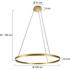 LED Pendelleuchte Metall Kunststoff Ø100 cm 80 W 2700 K
