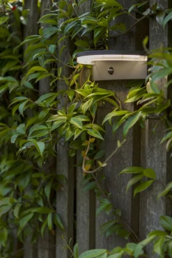 LED Solar Wandlampe Bewegungsmelder IP44 B:19 cm 4000 K