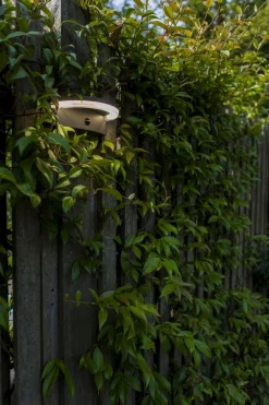 LED Solar Wandlampe Bewegungsmelder IP44 B:19 cm 4000 K