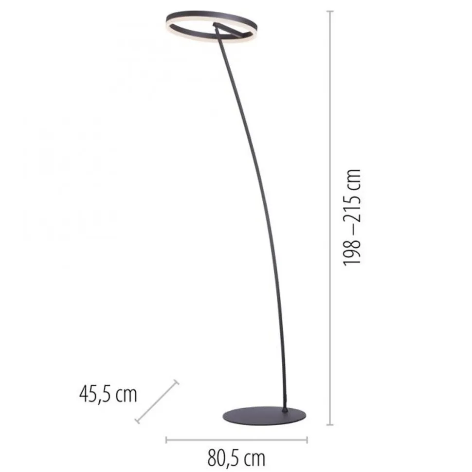LED Stehlampe Anthrazit dimmbar warmweiß 20 W 215 cm