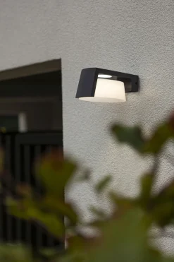 LED Wandlampe Aluminium Anthrazit B:16 cm IP44 1000 lm