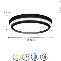 LED Wandlampe Aluminium Schwarz RGB Bluetooth Ø35 cm