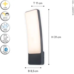 LED Wandlampe Anthrazit H:31,1 cm 1200 lm IP54 dimmbar