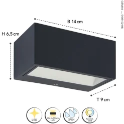 LED Wandlampe Außen Anthrazit 4000 K 10 W IP54 Up Down