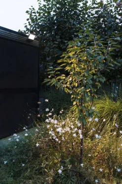 LED Wandlampe Outdoor Aluminium 4000 K IP54 beweglich