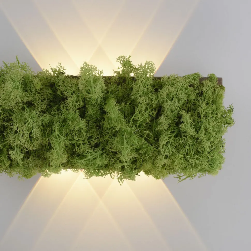 LED Wandlampe Up Down B:32 cm 3000 K 130 lm aus Moos