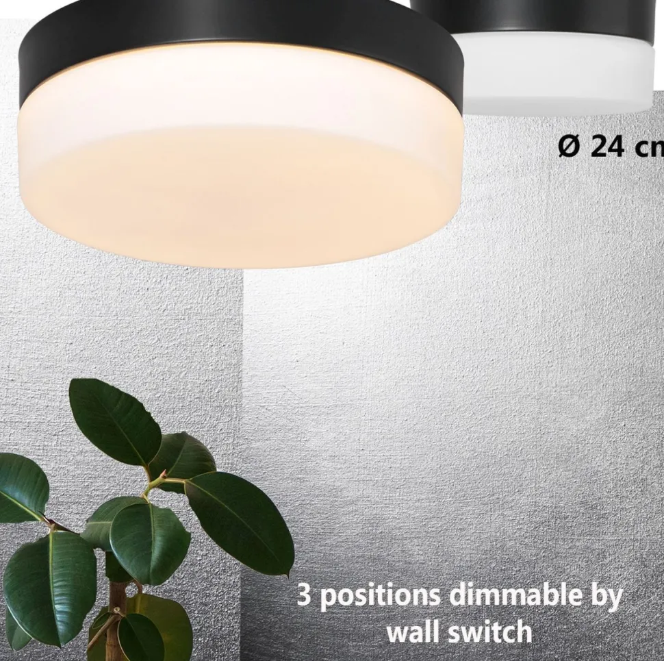 Runde LED Deckenleuchte Glas Metall IP44 Ø24 cm 18 W