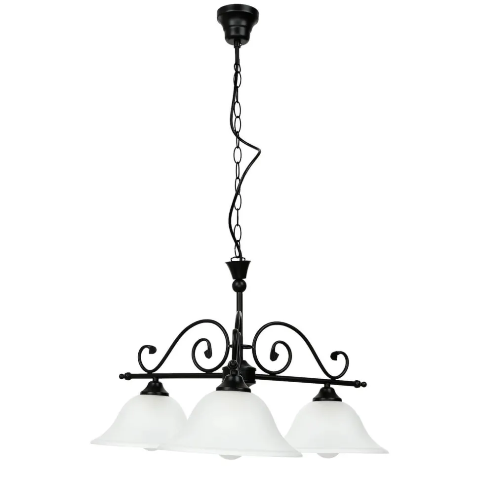 Rustikale Hängelampe verstellbar Schwarz DOROTHEA