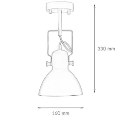 Spot Lampe Schwarz Metall rund Retro DALLAS