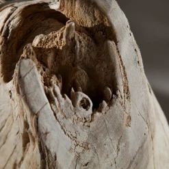 Stehlampe 175cm Modern individuell Treibholz